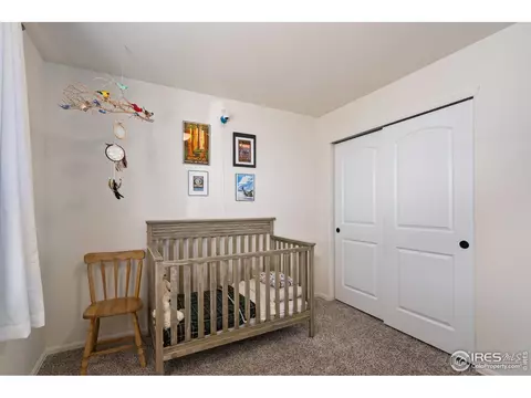 952 Greenbrook Dr, Windsor, CO 80550 photo 21