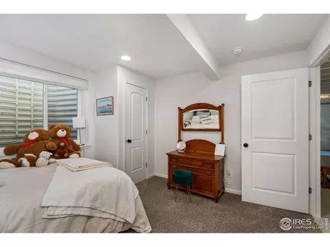 952 Greenbrook Dr, Windsor, CO 80550 photo 19