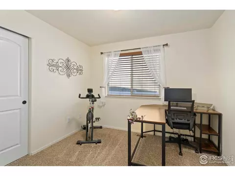 1060 Mt Oxford Ave, Severance, CO 80550 photo 21