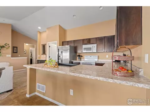 1060 Mt Oxford Ave, Severance, CO 80550 photo 14