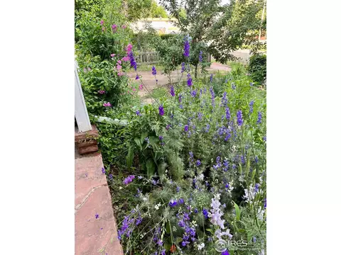 414 Stickney Ave, Lyons, CO 80540 photo 30