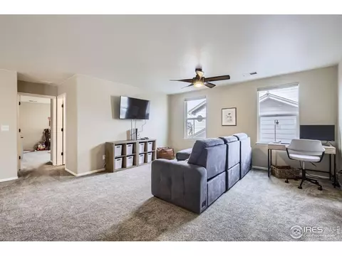 5653 Foxfire St, Timnath, CO 80547 photo 27
