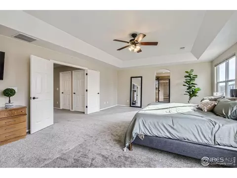 5653 Foxfire St, Timnath, CO 80547 photo 21