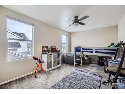 5653 Foxfire St, Timnath, CO 80547 photo 28
