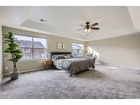 5653 Foxfire St, Timnath, CO 80547 photo 20