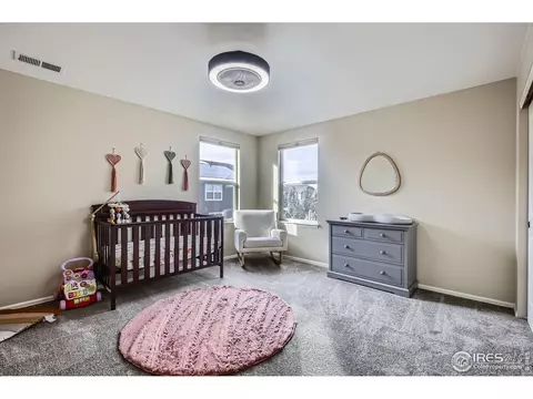 5653 Foxfire St, Timnath, CO 80547 photo 24