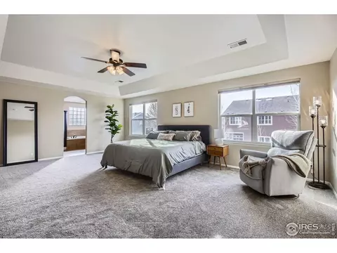 5653 Foxfire St, Timnath, CO 80547 photo 19