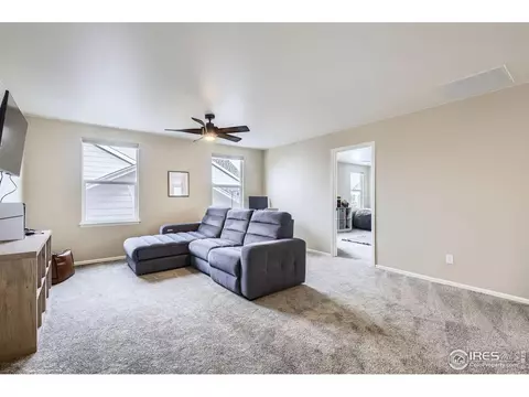 5653 Foxfire St, Timnath, CO 80547 photo 26