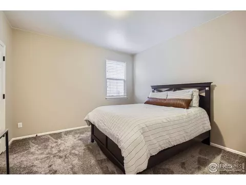 5653 Foxfire St, Timnath, CO 80547 photo 18