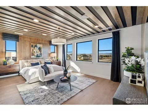 1720 Branching Canopy Dr, Windsor, CO 80550 photo 21