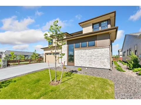 1720 Branching Canopy Dr, Windsor, CO 80550 photo 3