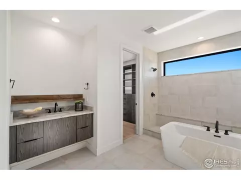 1720 Branching Canopy Dr, Windsor, CO 80550 photo 22
