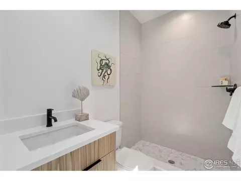 1720 Branching Canopy Dr, Windsor, CO 80550 photo 30