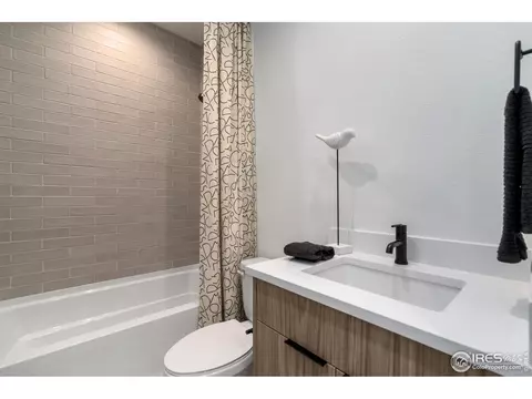 1720 Branching Canopy Dr, Windsor, CO 80550 photo 28