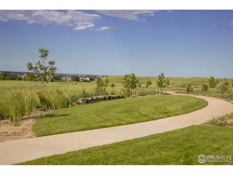 1720 Branching Canopy Dr, Windsor, CO 80550 photo 40
