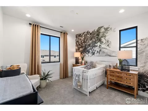 1720 Branching Canopy Dr, Windsor, CO 80550 photo 29