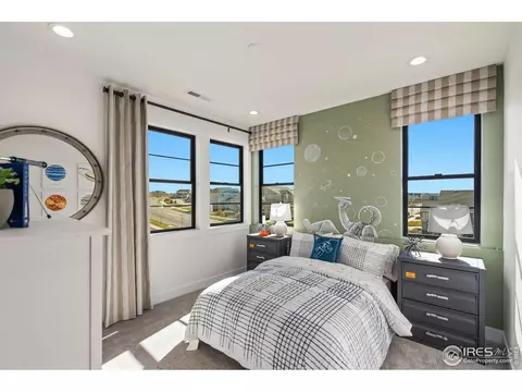 1720 Branching Canopy Dr, Windsor, CO 80550 photo 27