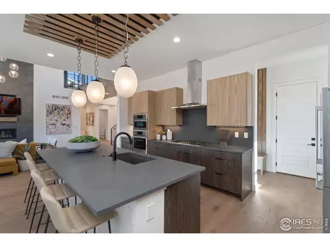 1720 Branching Canopy Dr, Windsor, CO 80550 photo 10