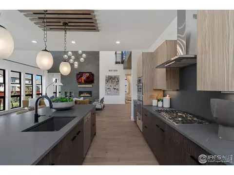 1720 Branching Canopy Dr, Windsor, CO 80550 photo 11