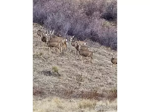 0 Beverly Dr, Berthoud, CO 80513 photo 5