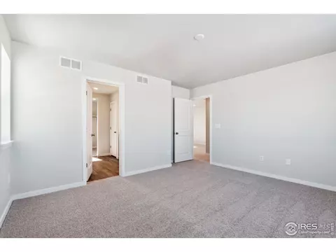 810 Mesic Ln, Windsor, CO 80550 photo 21