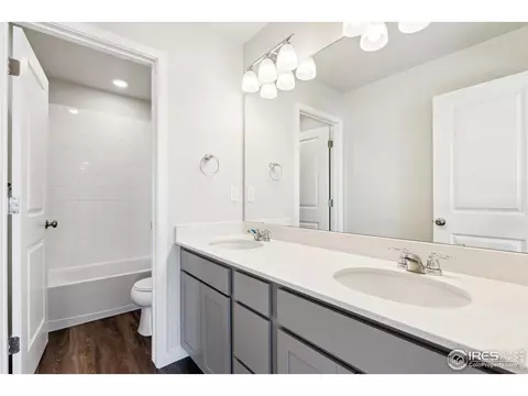 810 Mesic Ln, Windsor, CO 80550 photo 20