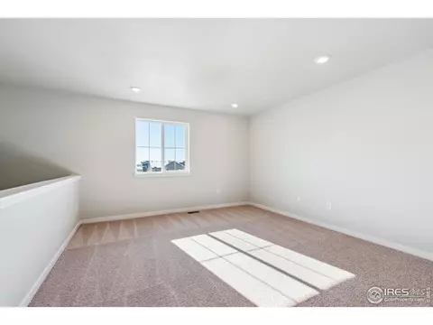 810 Mesic Ln, Windsor, CO 80550 photo 14