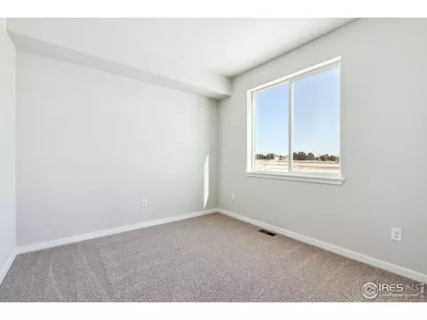 810 Mesic Ln, Windsor, CO 80550 photo 7