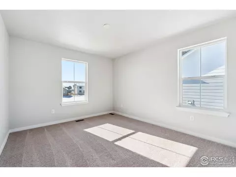 810 Mesic Ln, Windsor, CO 80550 photo 15