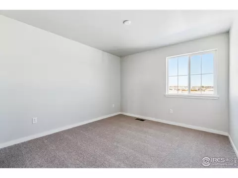 810 Mesic Ln, Windsor, CO 80550 photo 17