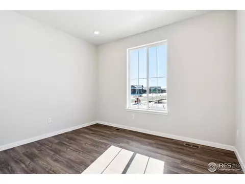 810 Mesic Ln, Windsor, CO 80550 photo 3