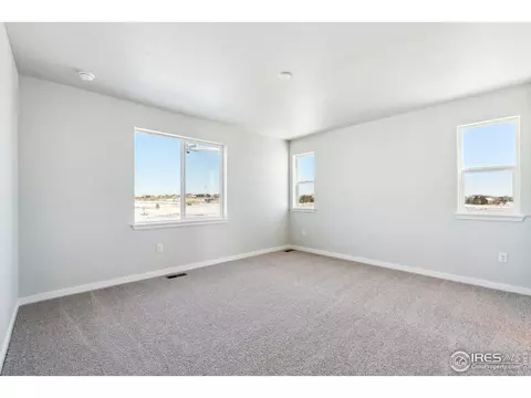 810 Mesic Ln, Windsor, CO 80550 photo 18