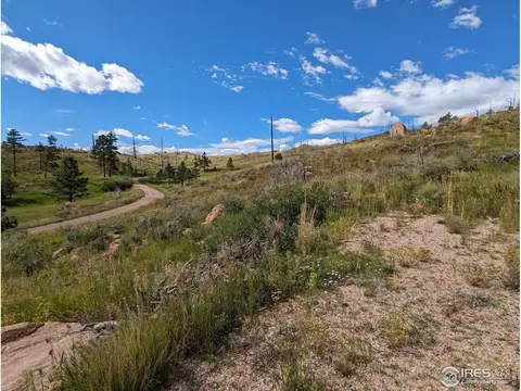 1737 Eiger Rd, Livermore, CO 80536 photo 10
