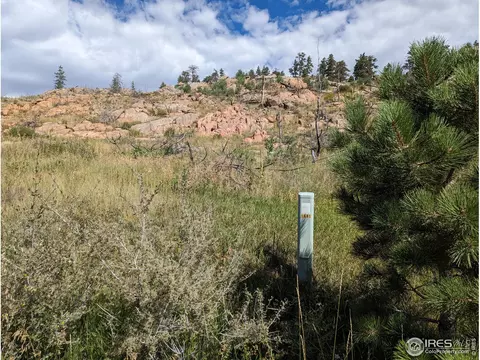 1737 Eiger Rd, Livermore, CO 80536 photo 24