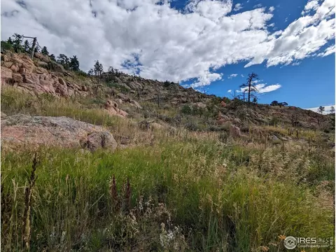 1737 Eiger Rd, Livermore, CO 80536 photo 7