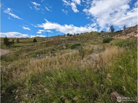 1737 Eiger Rd, Livermore, CO 80536 photo 16