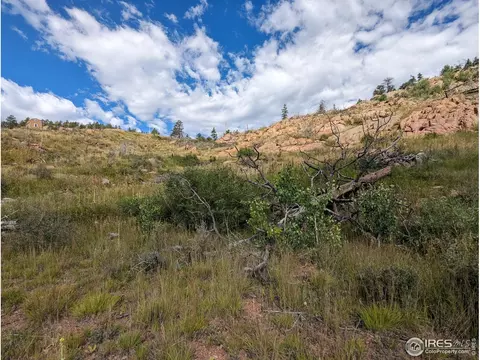 1737 Eiger Rd, Livermore, CO 80536 photo 18