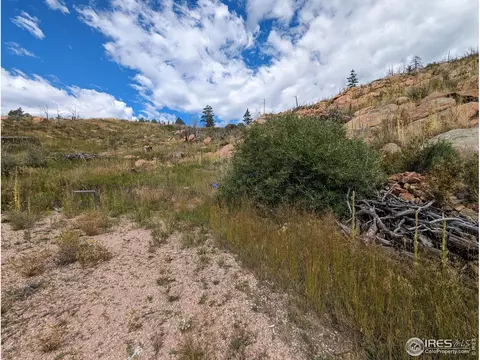 1737 Eiger Rd, Livermore, CO 80536 photo 8