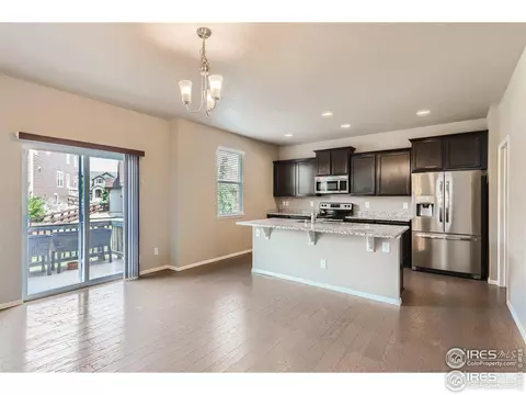 2264 Stonefish Dr, Windsor, CO 80550 photo 9