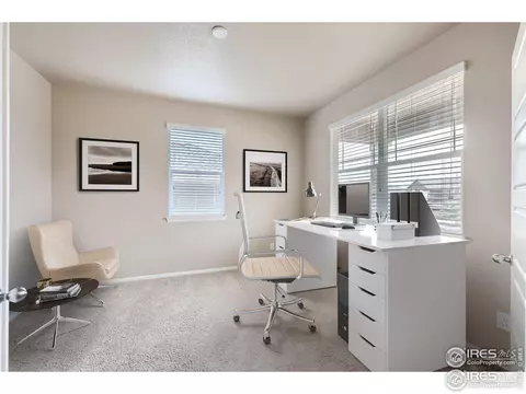 2264 Stonefish Dr, Windsor, CO 80550 photo 10