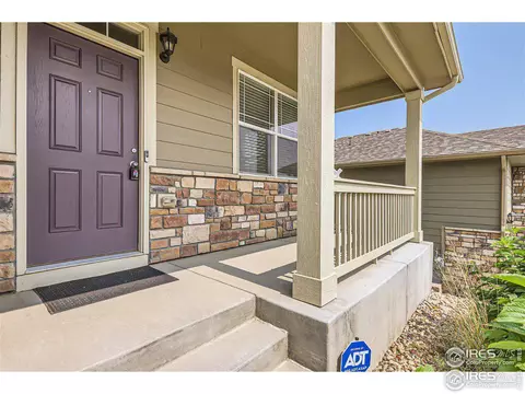2264 Stonefish Dr, Windsor, CO 80550 photo 4
