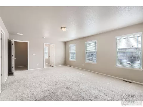 2264 Stonefish Dr, Windsor, CO 80550 photo 14