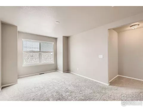2264 Stonefish Dr, Windsor, CO 80550 photo 21