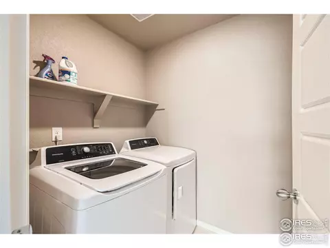 2264 Stonefish Dr, Windsor, CO 80550 photo 23