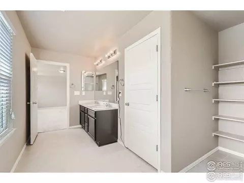 2264 Stonefish Dr, Windsor, CO 80550 photo 16