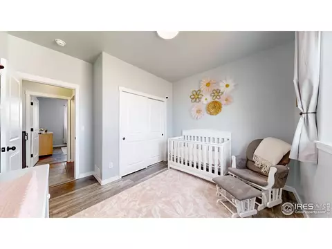 511 Wind River Dr, Windsor, CO 80550 photo 10