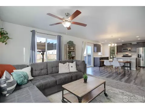 894 Emerald Lakes St, Windsor, CO 80550 photo 7