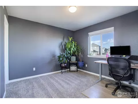 894 Emerald Lakes St, Windsor, CO 80550 photo 25