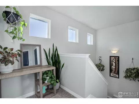 894 Emerald Lakes St, Windsor, CO 80550 photo 16