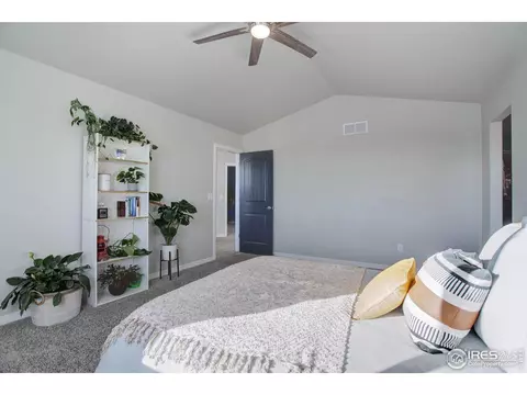 894 Emerald Lakes St, Windsor, CO 80550 photo 20